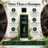 RevitaRoot™ Rosemary Shampoo for Fuller, Healthier-Looking Hair